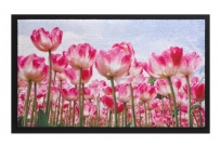 Rohožka ozdobná Image tulipány 45x75cm.